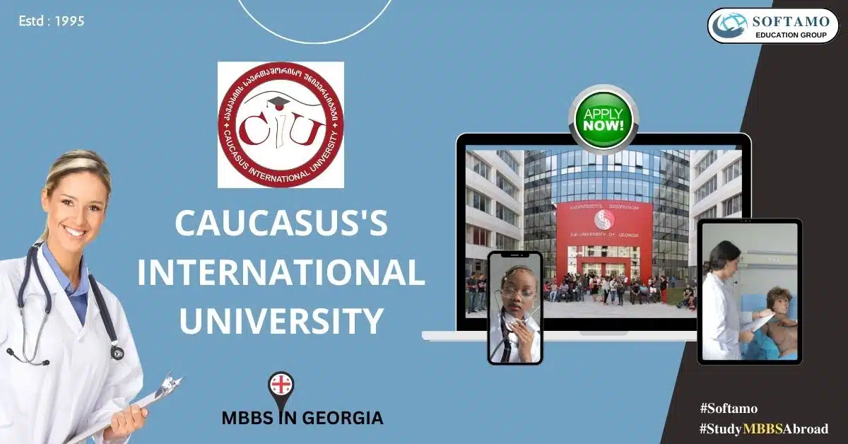 Caucasus's International University