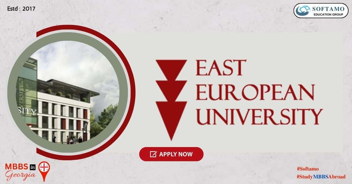 East European University